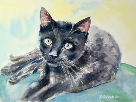 Schwarze Katze auf grünem Sofa, 2020
