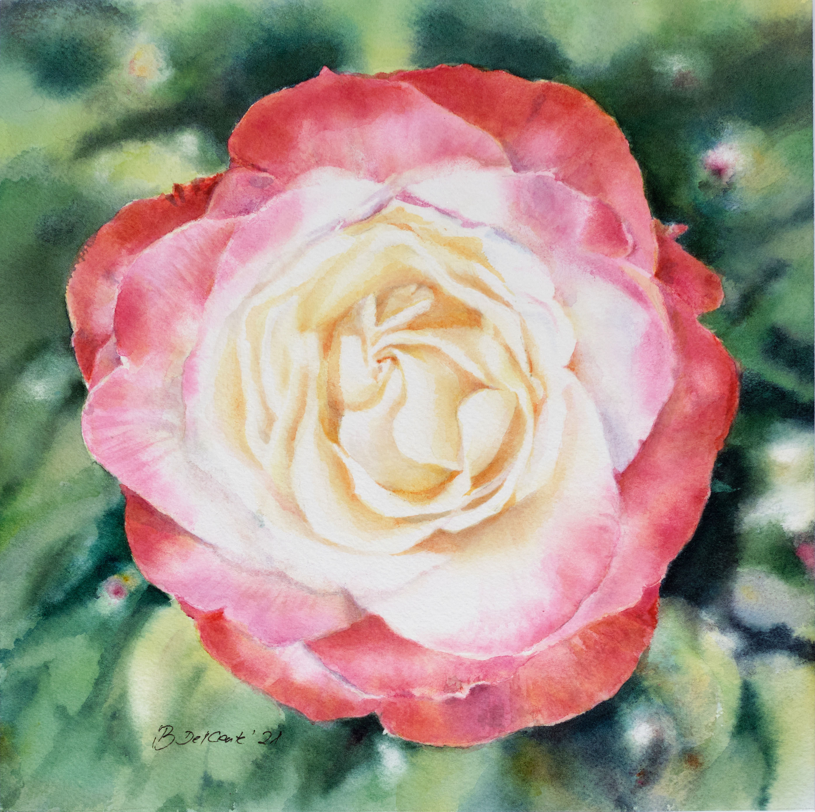 Edelrose Nostalgie Aquarellbild Rose weiss rosa