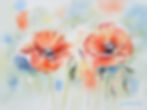 Rote Mohnblüten in Aquarell mit hellgrünen Kapseln