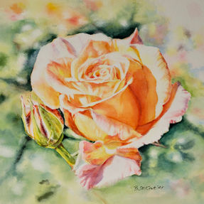 Orange Rose in Light with Bokeh Background Watercolor