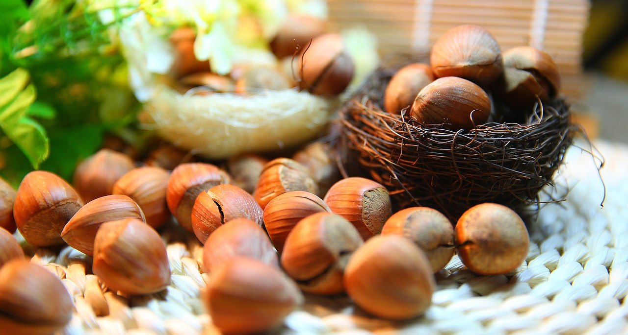 hazelnut-1098181_1920.jpg