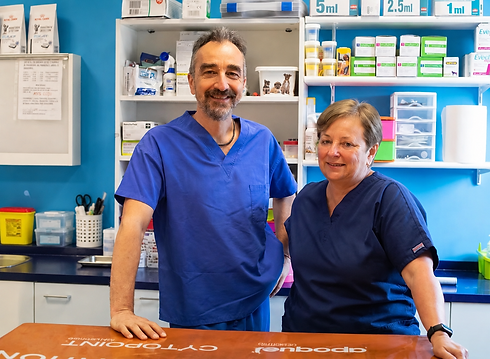 Staff veterinari sorridenti in clinica.png