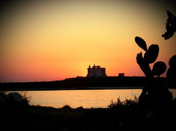 Tramonto arancione su uno specchio d'acqua con un castello e cactus.
