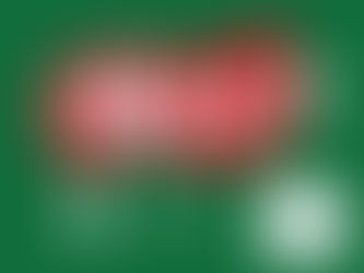 עוגיות וחטיפים ללא גלוטן של יצרנית העוגיות "פרנקל'ס"