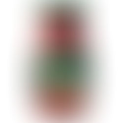 רוטב עגבניות פיקנטי לדג של קנור