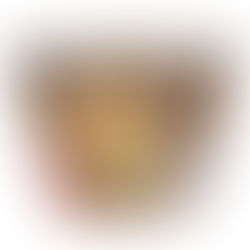 לאבנה טבעונית טעימה של "משומשו"