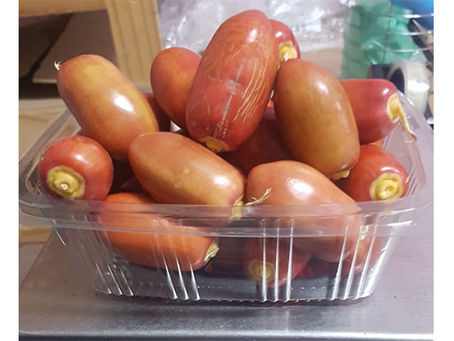 נא להכיר- תמר צפריר