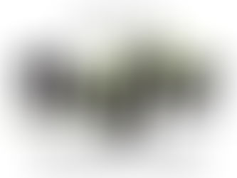 "בופה" מתחם קולינרי ענקי בכפר סבא