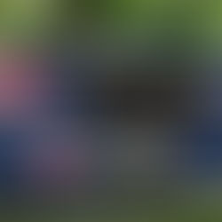 "פסטה טראק" של ברילה