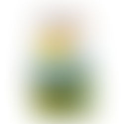 אפונה ירוקה אורגנית של "תבואות"