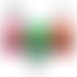 עלית משיקה: מסטיק MUST לארג'