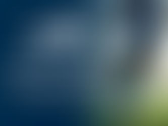 מבצעי מונדיאל של חוות הבוקרים 