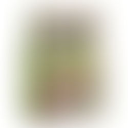 סדרת חטיפים אפויים משובחים מאיטליה