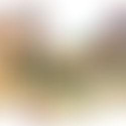 המותג FREE מציע חטיפי תמרים כשרים לפסח