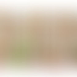 "מרציפן מההר" – סדרת קוביות מרציפן ממולאות של "בית השקד"