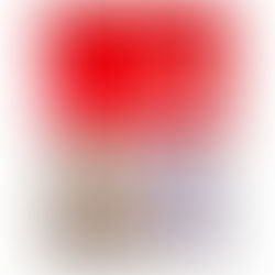 נייר אפייה במארז ענק של סנו