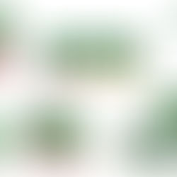 מוצרי אקטיביה חדשים