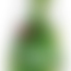 טחינה גולמית בבקבוק לחיץ 350 גרם של אחוה