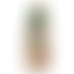 "בארכה" משיקה טחינה גולמית משומשום מלא, מתובלת בזעתר, בבקבוק לחיץ