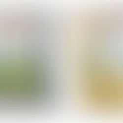 ניוקי איטלקי אורגני של חברת "תבואות"