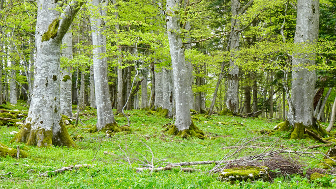Wanderung Twann
