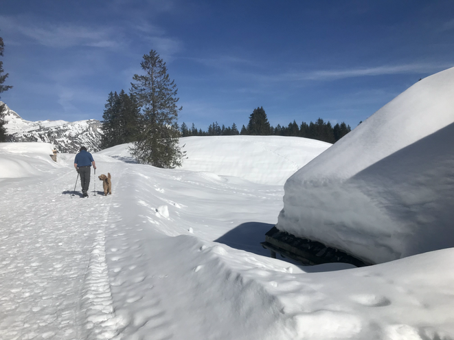 Wunderbare Winter-Rundwanderung ca. 3 Std.:
Wildhaus - Sessellift Oberdorf - Ölberg - Gamperfin - Ölberg - Sessellift Oberdorf - Wildhaus