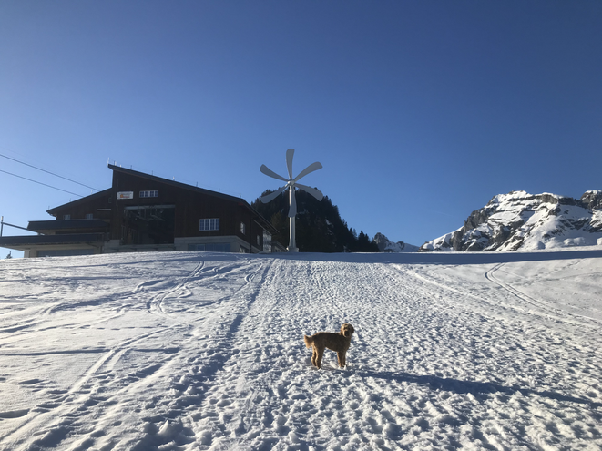 Am Nachmittag Rundwanderung Nr. 153 Gamplüt mit traumhaftem Genuss der Aussicht mit Abendsonne bei Bier und Glas Weisswein.