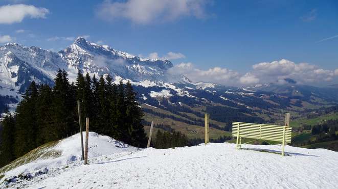 Herrliche Aussicht auf den Hohgant und das Tal