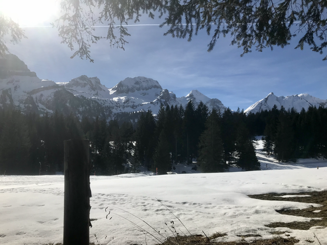 Herrlicher Mittagshalt oberhalb dem Restaurant Gamperfin