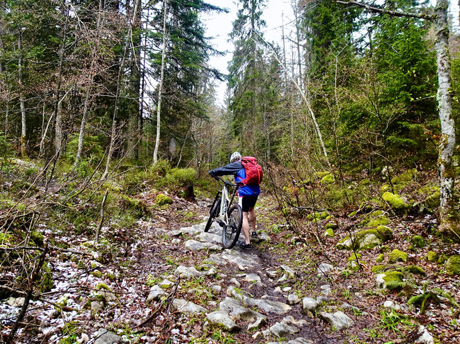 E-Bike Tour 995 Le Grand Risoud