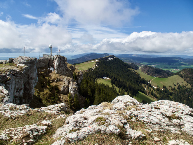 untitled image