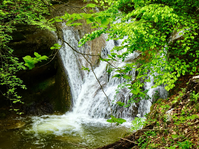 Vom Twannberg durch die Twannbachschlucht nach Twann.