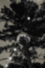 SBP04410-Copy1.jpg