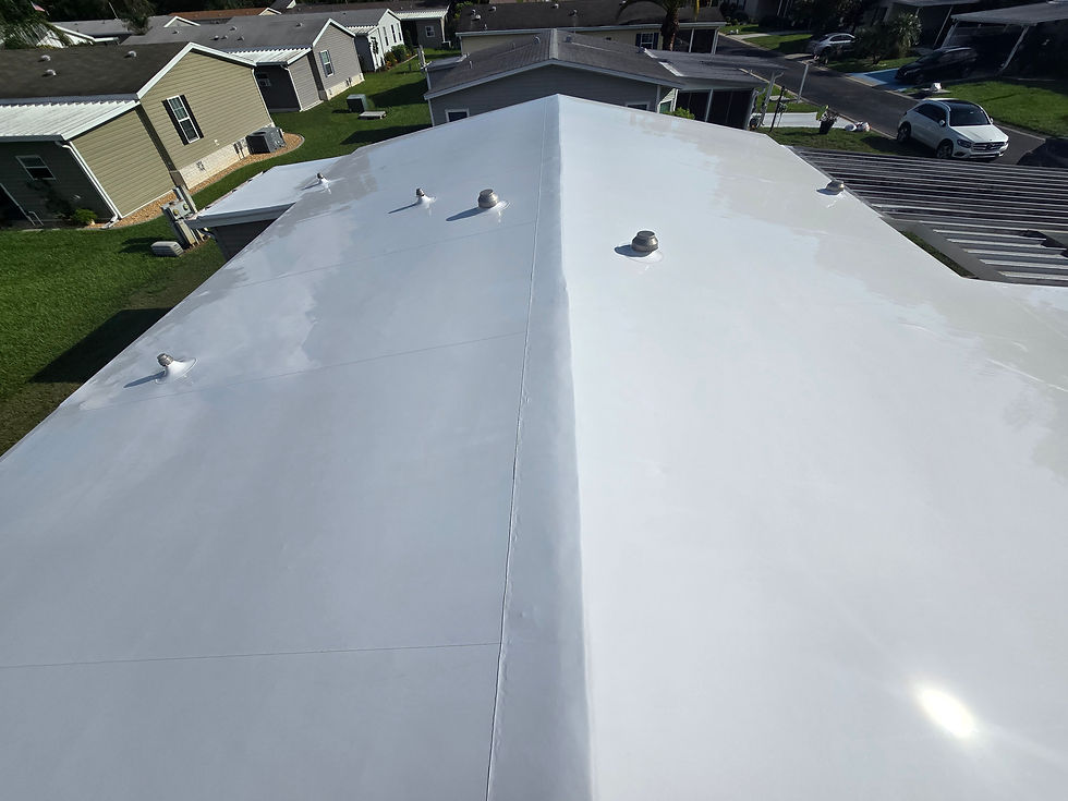 Eye-level view of a clean white TPO roof under bright sunlight