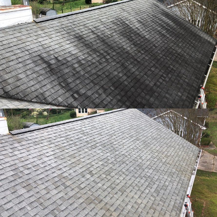 shingke roof before and after softwashing
