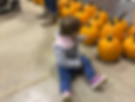 fall fest.png