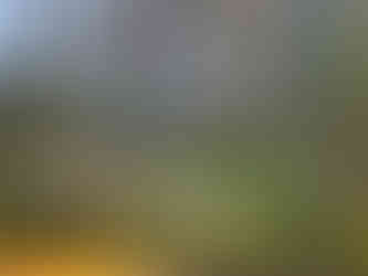 IMG_1165.JPEG