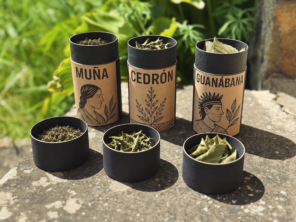 Sacred Origins: Eisa Tea Co. and the Kichwa Legacy of Guayábana, Muña, and Cedrón