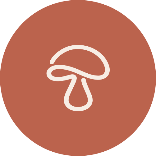Writer: The Toadstool Post