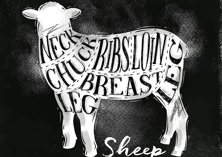 Sheep Cuts.jpg