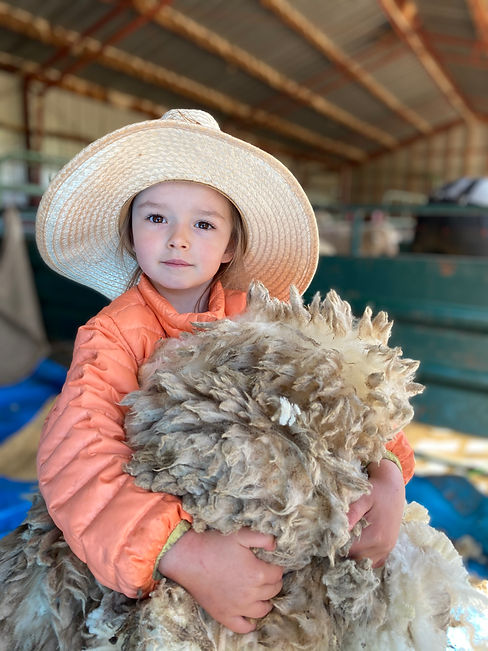 ella wool.jpeg