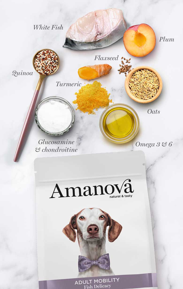 Thumbnail: Amanova adult mobility vis