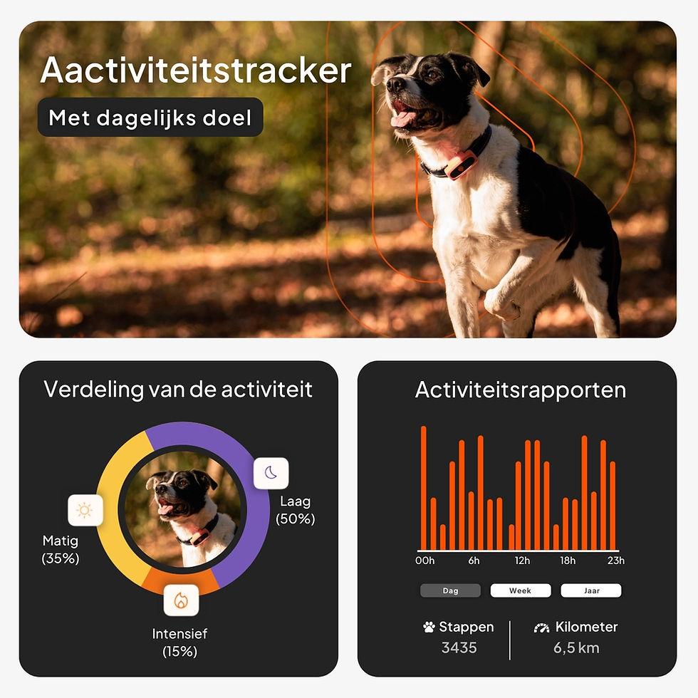 Thumbnail: Weenect gps tracker XT 