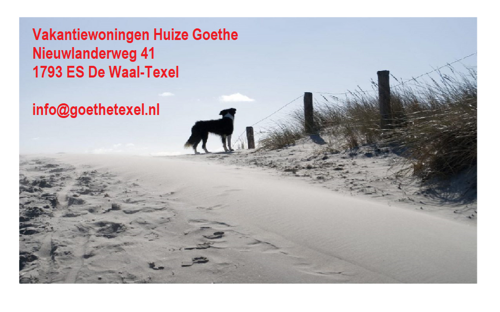 huize goethe_bewerkt.png