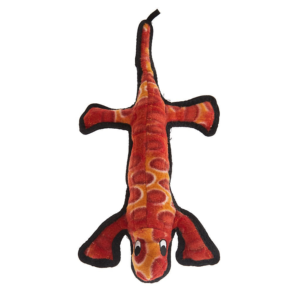 Tuffy Dessart lizard 