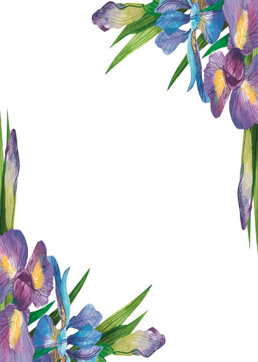 Purple and blue iris flowers frame the corners