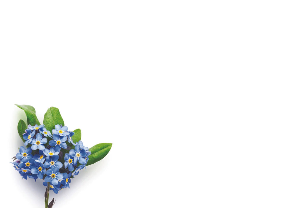 Blue flowers with green leaves