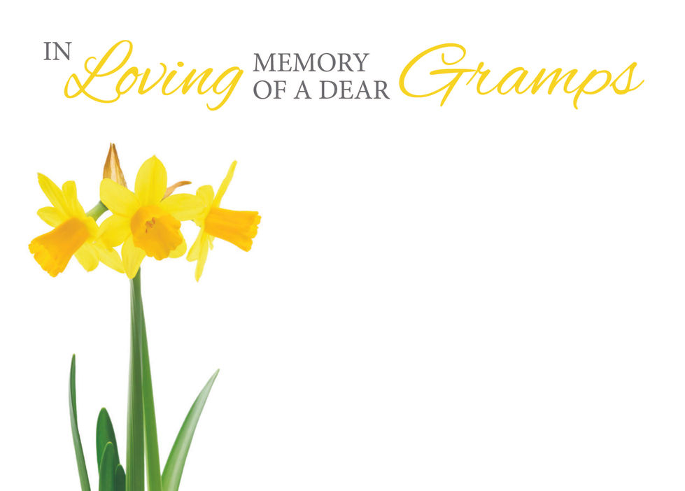 IN Loving MEMORY OF A DEAR Gramps with yellow daffodil