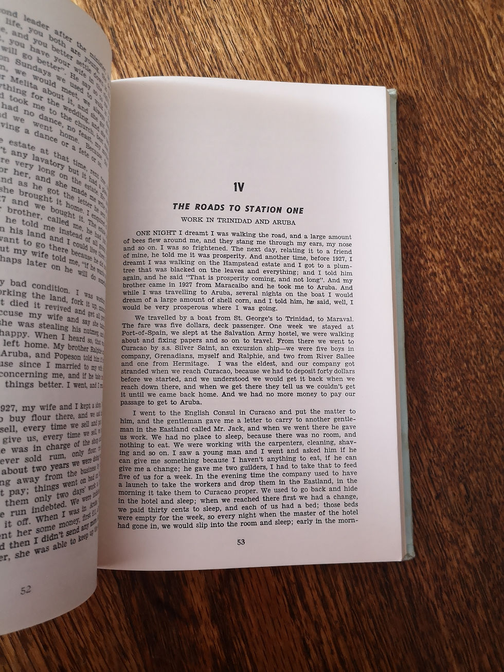 Thumbnail: Dark Puritan by M.G. Smith