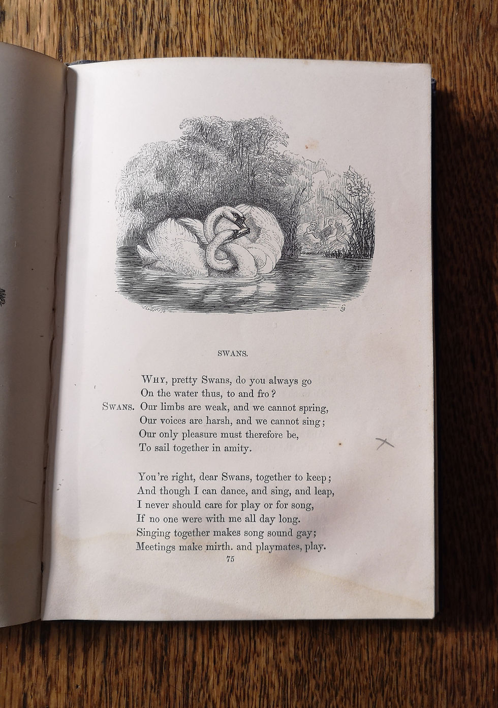 Thumbnail: Picture Fables drawn by Otto Speckter